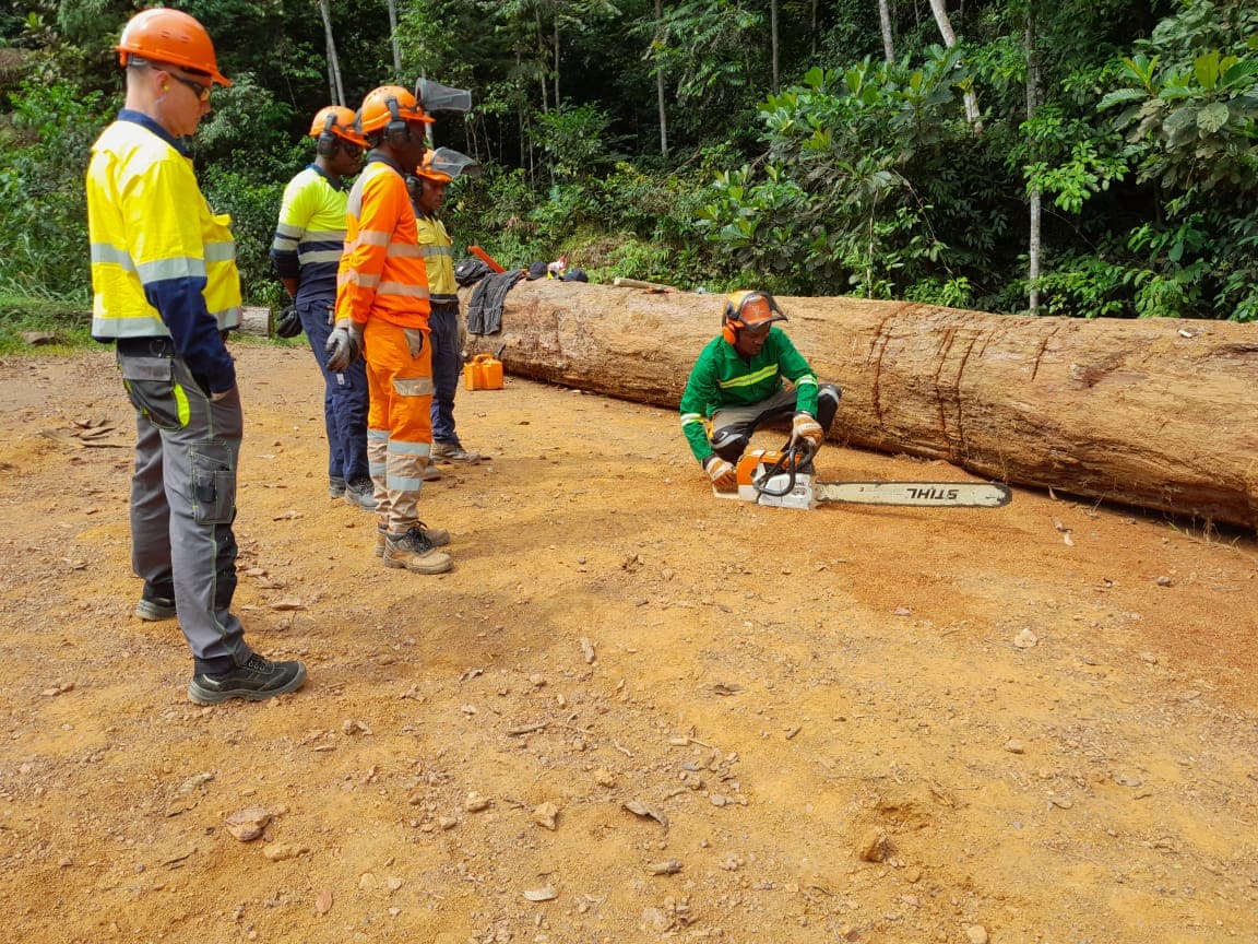 Formation à l’utilisation sécurisée de la tronçonneuse — site de Belinga
