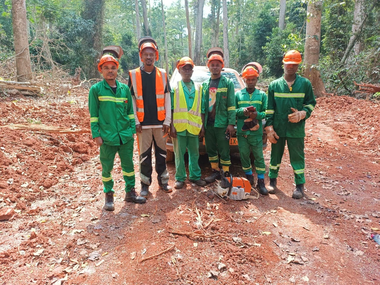 Ensoleillement de routes & travaux de paysage